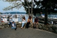 Friday Harbor