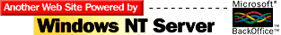 Microsoft's NT Logo